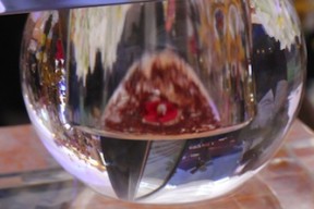 An lạc từng bước chân