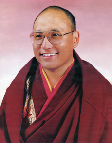 Phapvuongtre